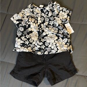Baby gap Floral Black and White Shirt with Black Shorts NWT